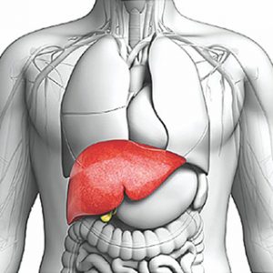 iatrika_tmimata_liver iatrika_tmimata_liver