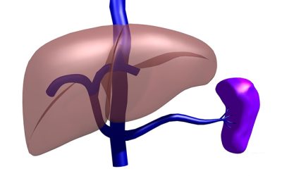 liver